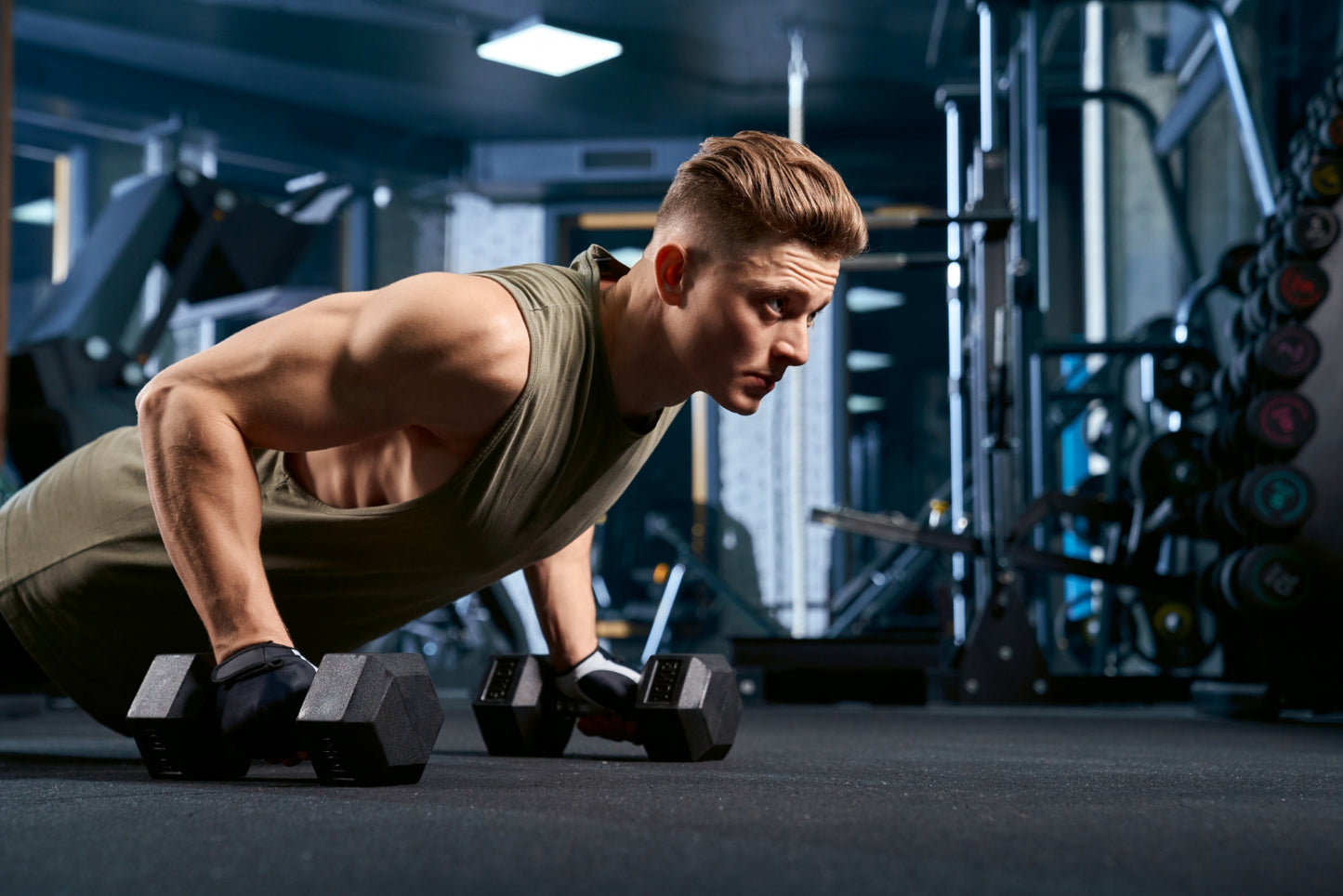 Muscle Building - 3 Day Split