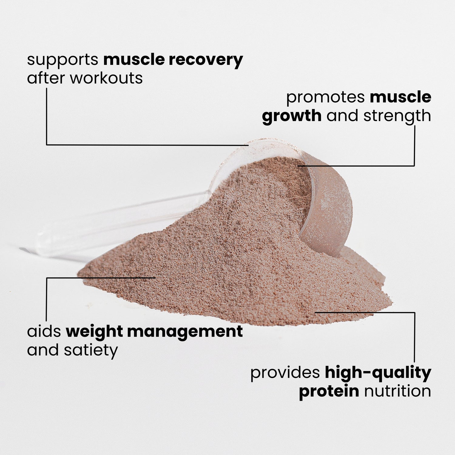 Advanced 100% Whey Protein Isolate
