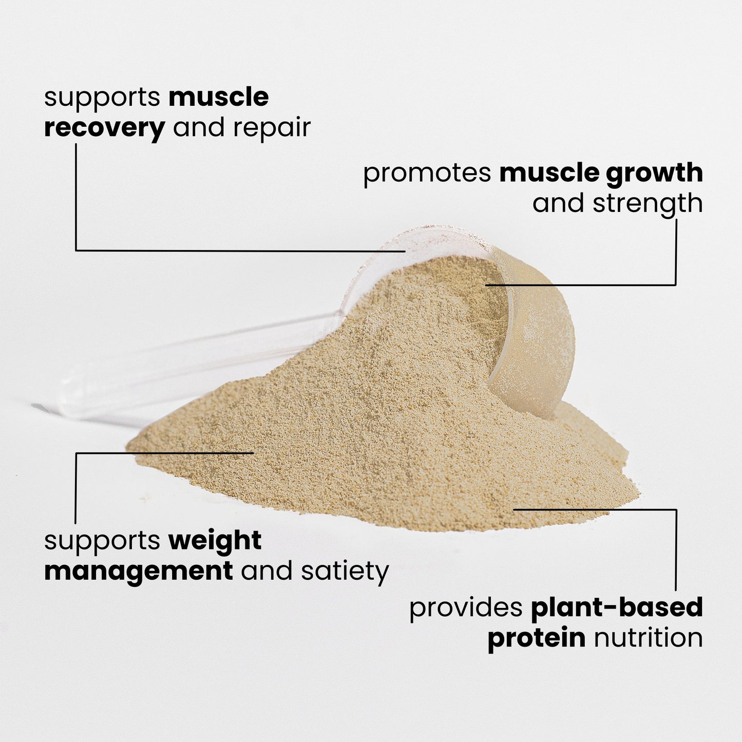 Plant Protein