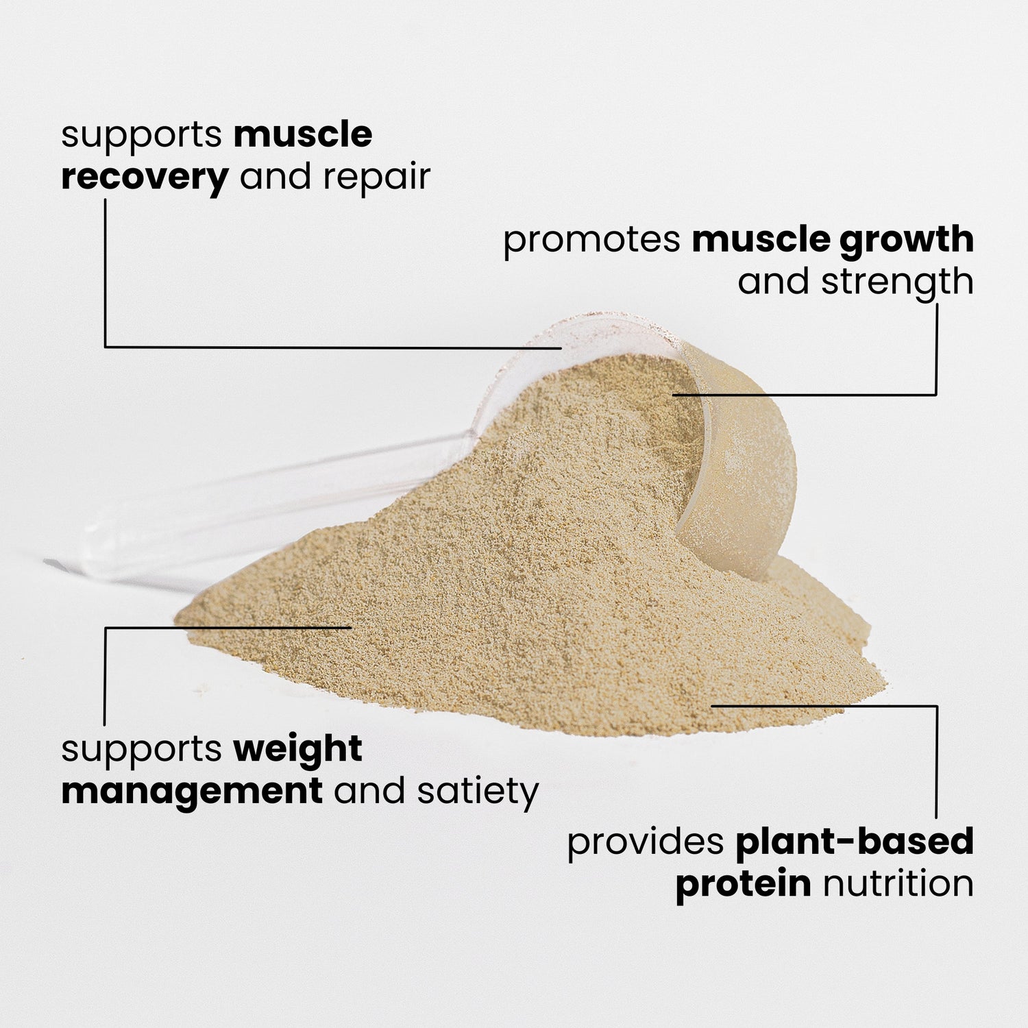 Plant Protein