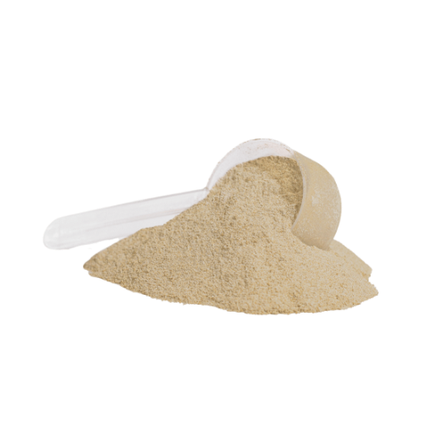 Plant Protein